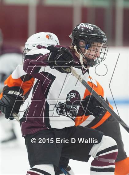 Thumbnail 2 in Agawam @ Ludlow photogallery.