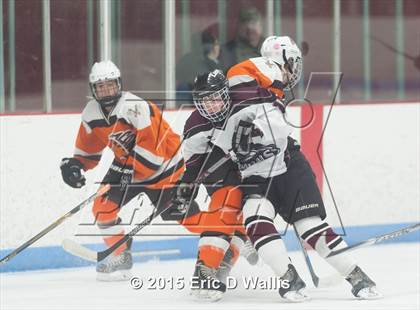 Thumbnail 3 in Agawam @ Ludlow photogallery.