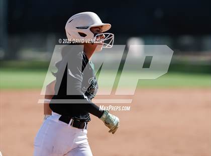 Thumbnail 2 in Basha @ Chandler photogallery.
