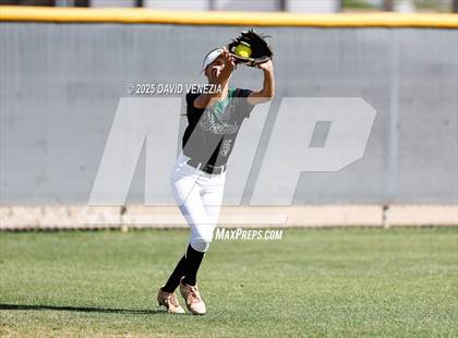 Thumbnail 3 in Basha @ Chandler photogallery.