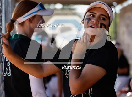 Thumbnail 1 in Basha @ Chandler photogallery.