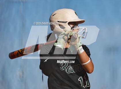 Thumbnail 2 in Basha @ Chandler photogallery.