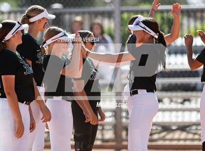 Thumbnail 2 in Basha @ Chandler photogallery.
