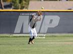 Photo from the gallery "Basha @ Chandler"