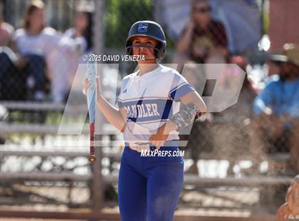Thumbnail 2 in Basha @ Chandler photogallery.