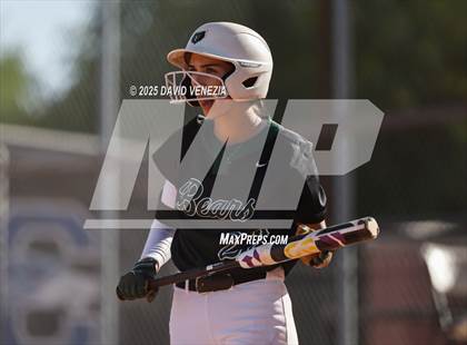 Thumbnail 1 in Basha @ Chandler photogallery.