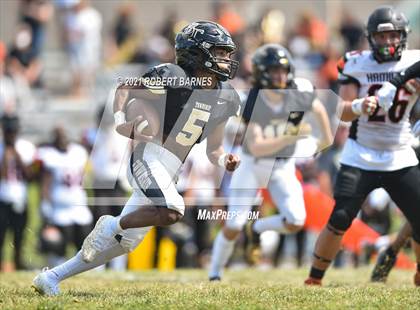 Thumbnail 3 in Hamilton @ Burlington Township photogallery.