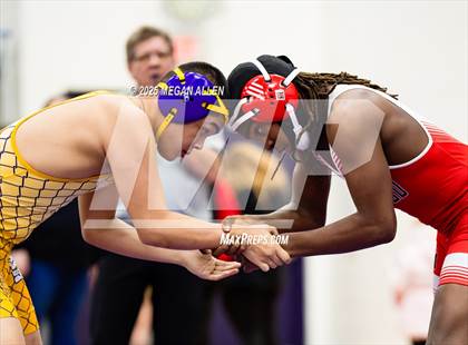 Thumbnail 1 in 52nd Annual Bellbrook Wrestling Invitational photogallery.