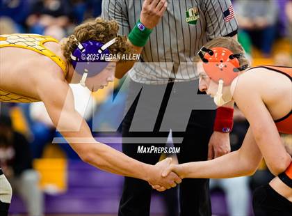 Thumbnail 1 in 52nd Annual Bellbrook Wrestling Invitational photogallery.