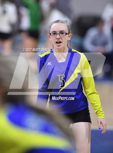 null - Photo 41