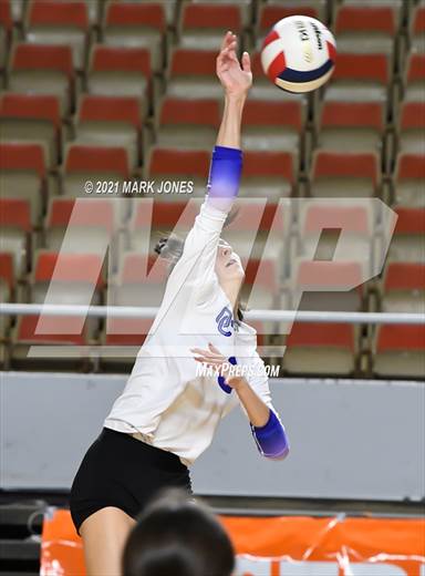 null - Photo 11