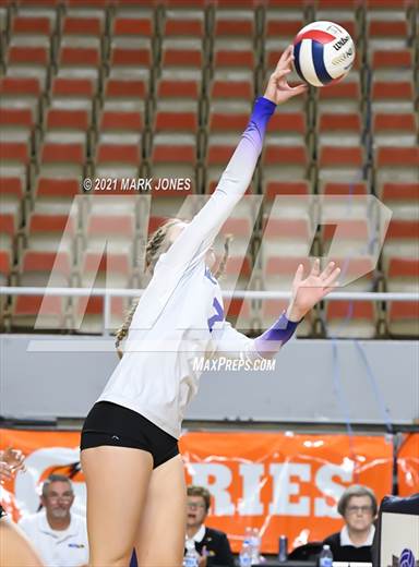 null - Photo 01