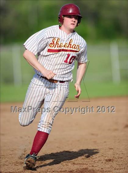 Thumbnail 3 in Cheshire @ Sheehan photogallery.