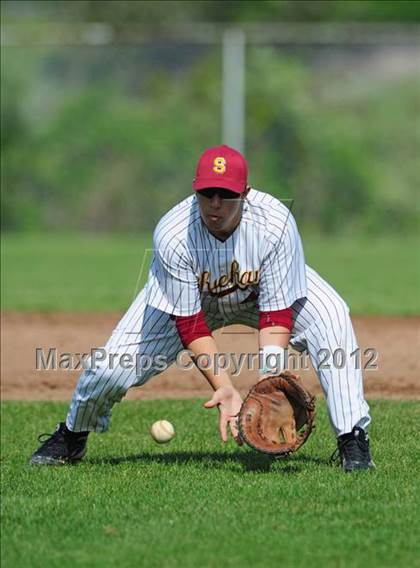 Thumbnail 1 in Cheshire @ Sheehan photogallery.