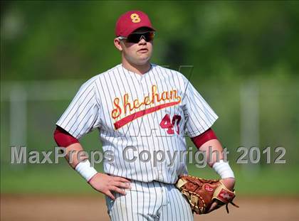 Thumbnail 3 in Cheshire @ Sheehan photogallery.