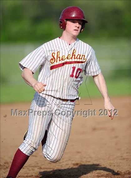 Thumbnail 1 in Cheshire @ Sheehan photogallery.