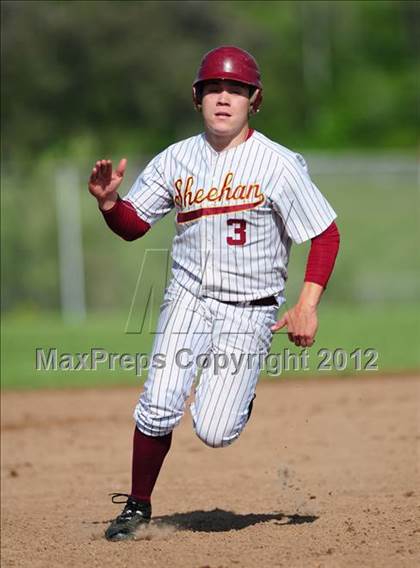 Thumbnail 2 in Cheshire @ Sheehan photogallery.