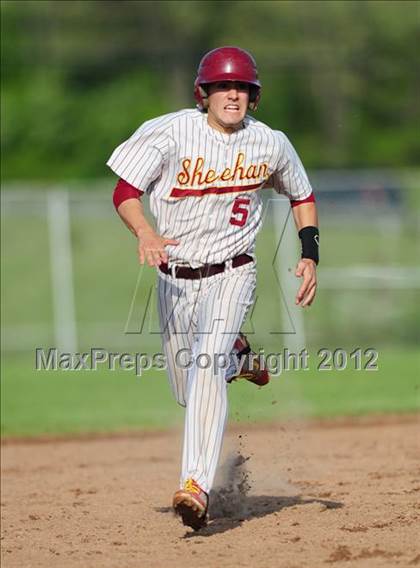 Thumbnail 2 in Cheshire @ Sheehan photogallery.