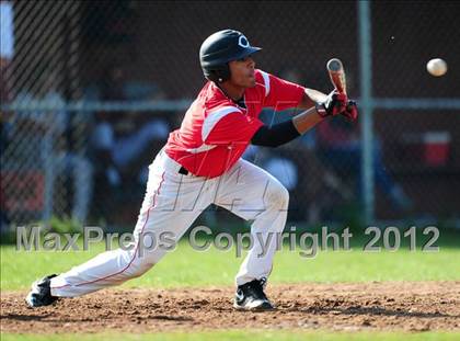 Thumbnail 2 in Cheshire @ Sheehan photogallery.