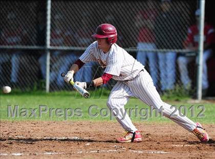 Thumbnail 2 in Cheshire @ Sheehan photogallery.