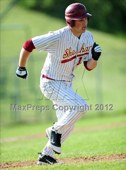 Thumbnail 3 in Cheshire @ Sheehan photogallery.