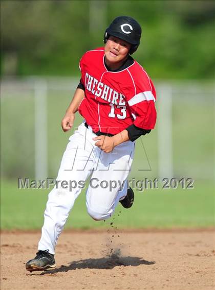 Thumbnail 2 in Cheshire @ Sheehan photogallery.