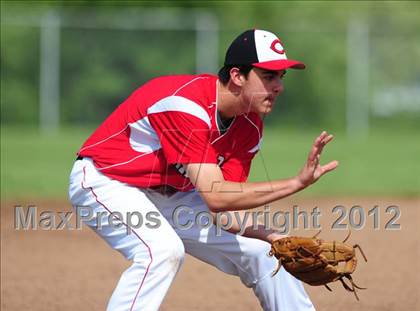 Thumbnail 1 in Cheshire @ Sheehan photogallery.