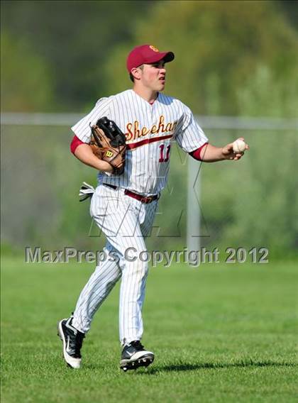 Thumbnail 3 in Cheshire @ Sheehan photogallery.