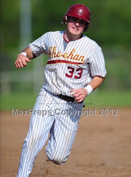 Thumbnail 1 in Cheshire @ Sheehan photogallery.