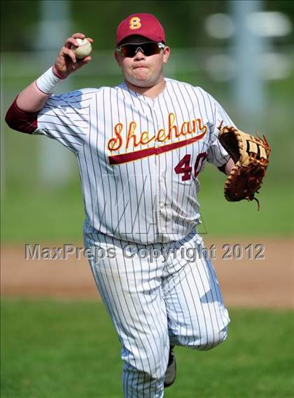 Thumbnail 2 in Cheshire @ Sheehan photogallery.