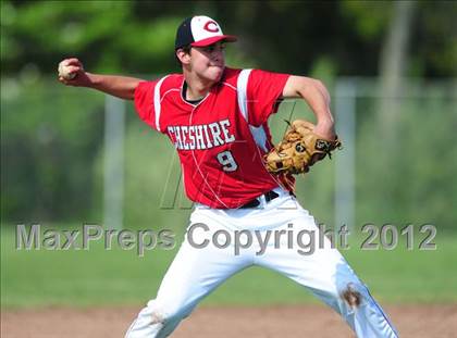Thumbnail 2 in Cheshire @ Sheehan photogallery.