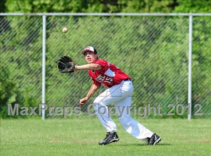 Thumbnail 2 in Cheshire @ Sheehan photogallery.