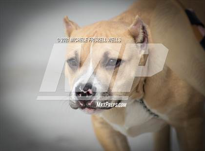 Thumbnail 1 in Point Loma vs San Pasqual (15th Annual Draz Classic Tournament) photogallery.