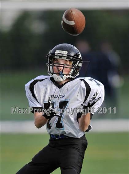 Thumbnail 3 in Fermi @ Wethersfield photogallery.