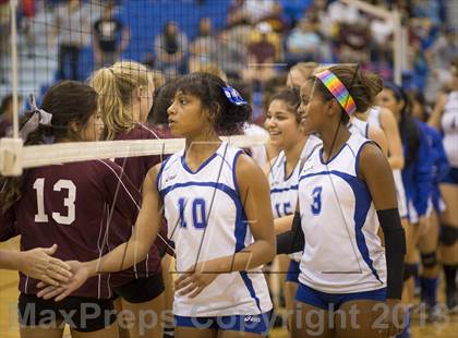 Thumbnail 1 in Los Fresnos @ Port Isabel photogallery.