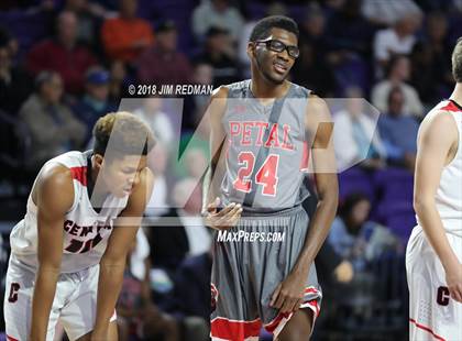 Thumbnail 1 in Petal vs. La Crosse Central (City of Palms Classic) photogallery.