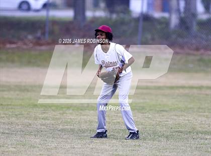 Thumbnail 2 in Ribault @ Raines photogallery.