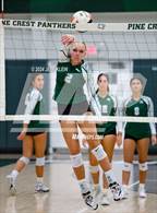 Photo from the gallery "Westminster Academy @ Pine Crest"