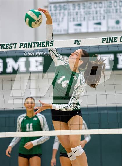Thumbnail 2 in Westminster Academy @ Pine Crest photogallery.