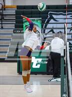 Photo from the gallery "Westminster Academy @ Pine Crest"