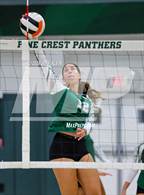 Photo from the gallery "Westminster Academy @ Pine Crest"