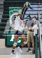 Photo from the gallery "Westminster Academy @ Pine Crest"