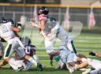 Photo from the gallery "Eagle @ Rocky Mountain"