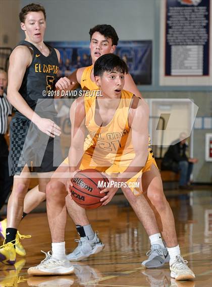 Thumbnail 1 in El Capitan vs. Del Oro (Running with the Pack) photogallery.