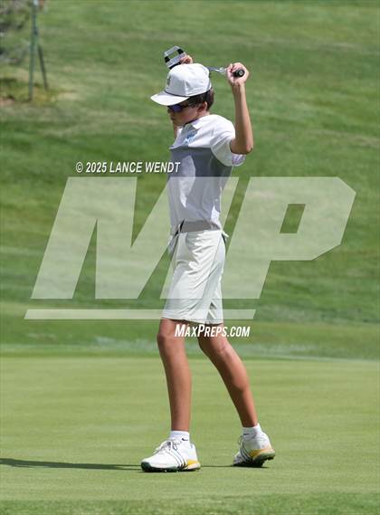 Thumbnail 1 in Tiger Invite photogallery.
