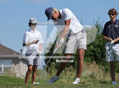 Thumbnail 1 in Tiger Invite photogallery.