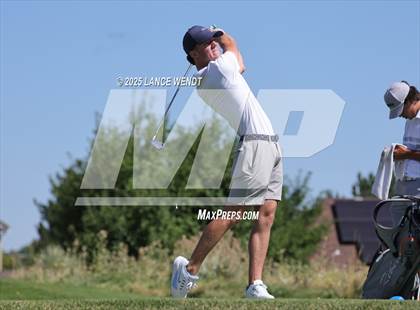 Thumbnail 1 in Tiger Invite photogallery.