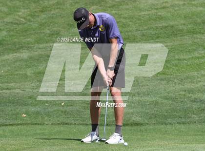Thumbnail 1 in Tiger Invite photogallery.