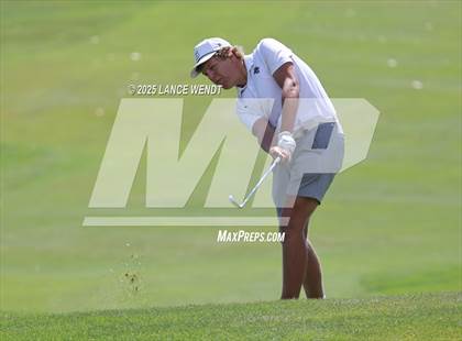 Thumbnail 3 in Tiger Invite photogallery.