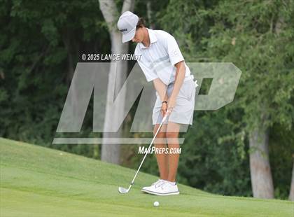 Thumbnail 1 in Tiger Invite photogallery.